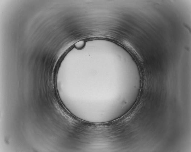 X0000100490884200806130753