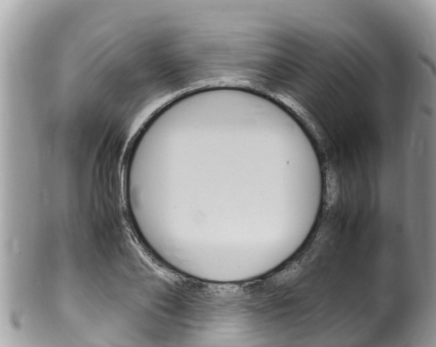 X0000100490886200806130753