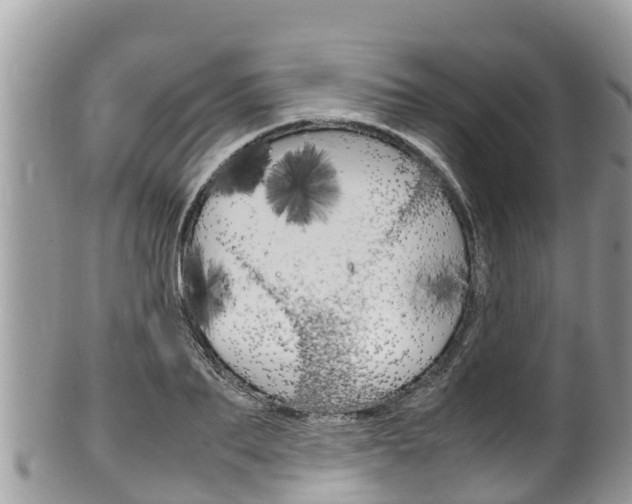 X0000100490887200806130753