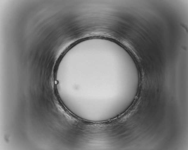 X0000100490888200806130753