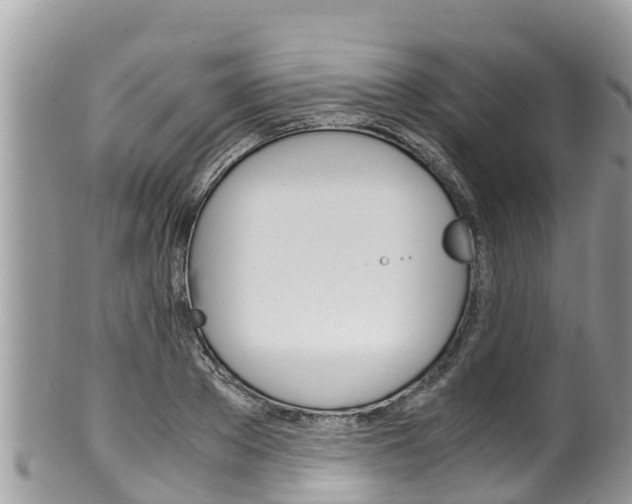 X0000100490889200806130753