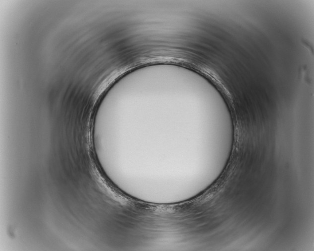 X0000100490890200806130753