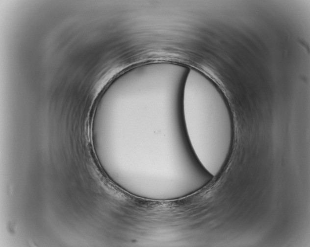X0000100490891200806130753
