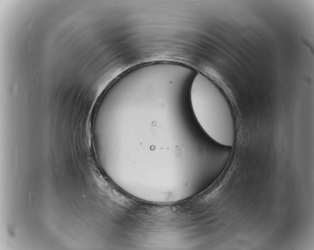 X0000100490892200806130753