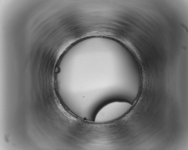 X0000100490896200806130753