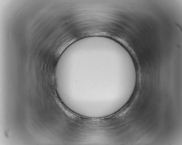 X0000100490897200806130753