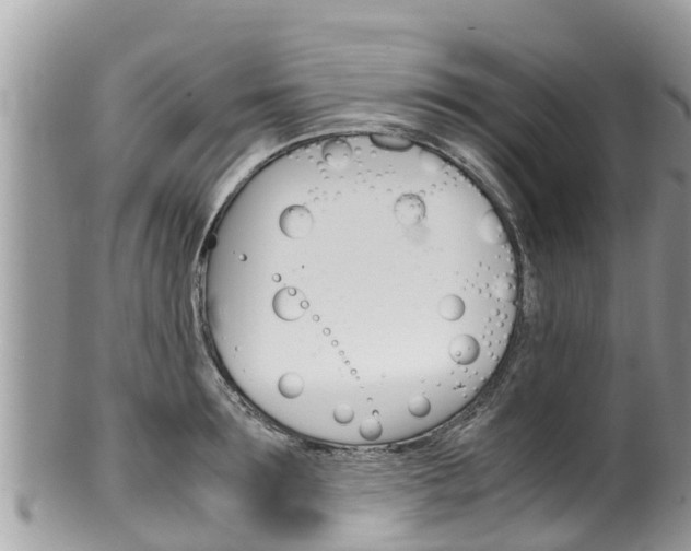 X0000100490899200806130753