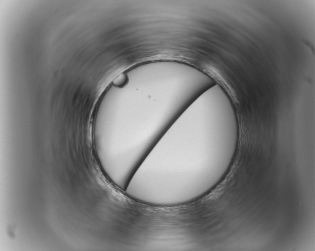 X0000100490900200806130753