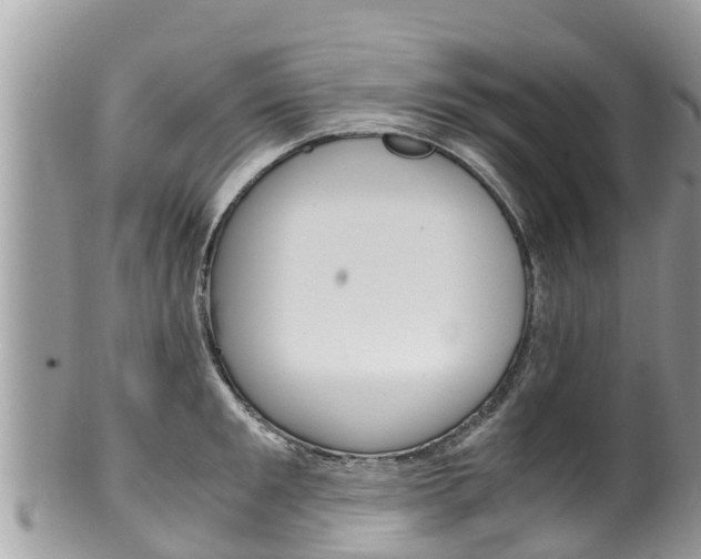 X0000100490901200806130753