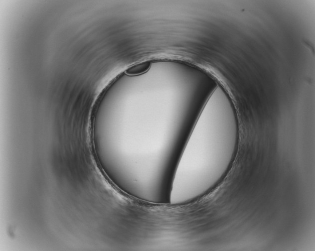 X0000100490902200806130753