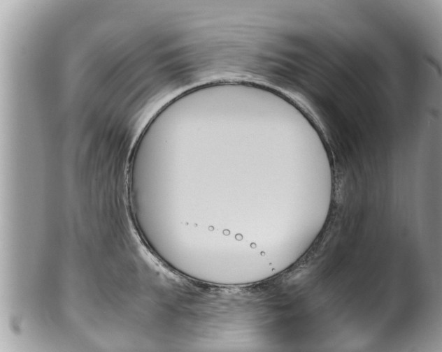 X0000100490903200806130753