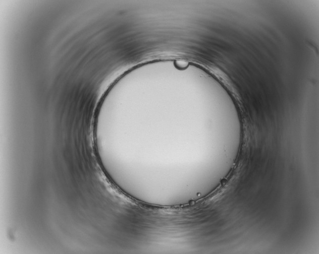 X0000100490904200806130753
