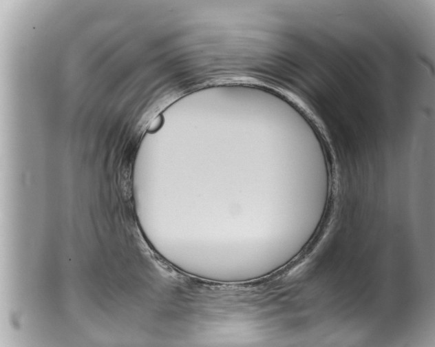 X0000100490905200806130753
