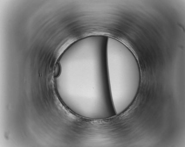 X0000100490906200806130753