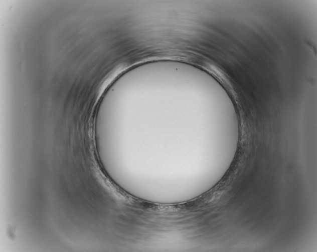 X0000100490907200806130753