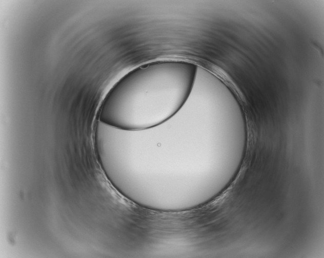X0000100490908200806130753