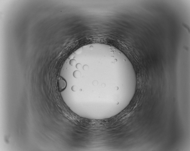 X0000100490913200806130752