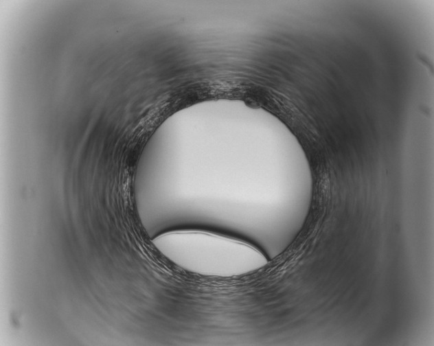 X0000100490914200806130752