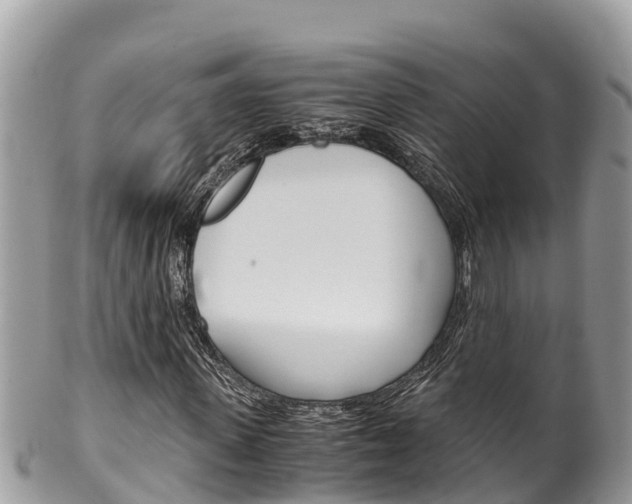 X0000100490915200806130752