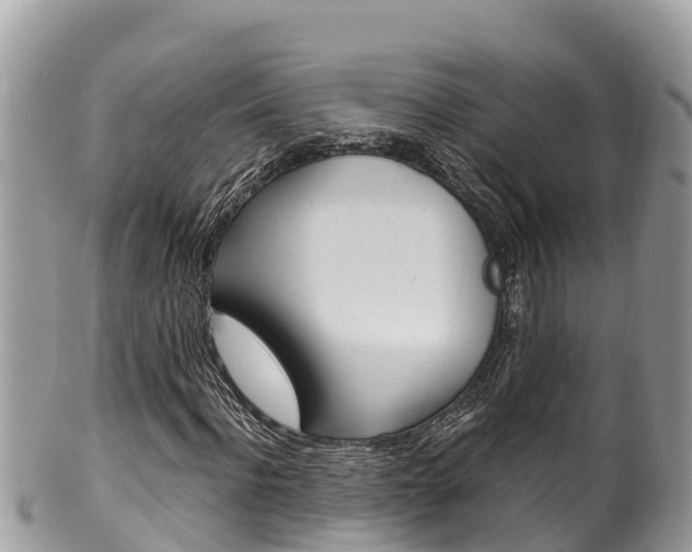 X0000100490916200806130752