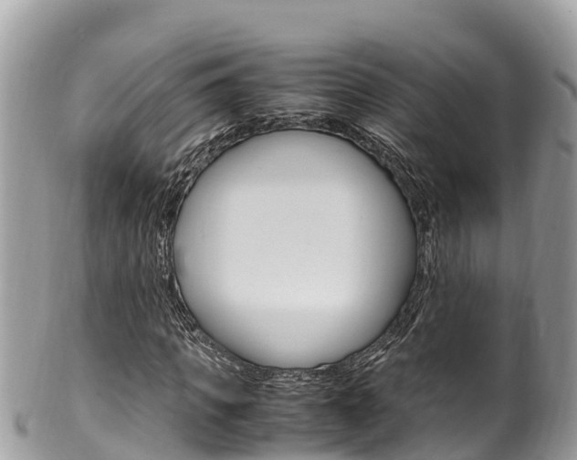 X0000100490917200806130752