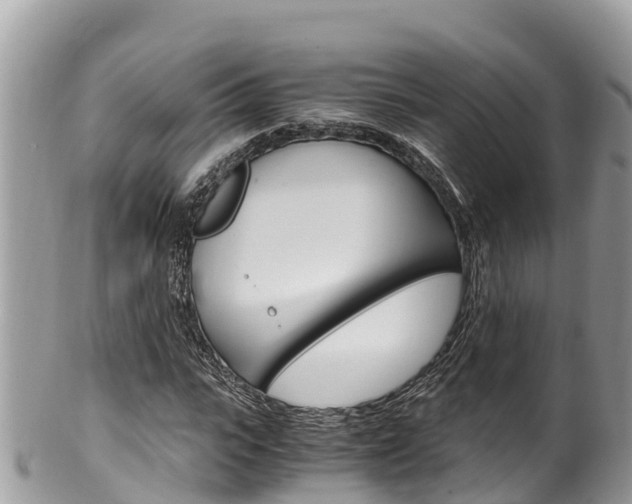X0000100490919200806130752