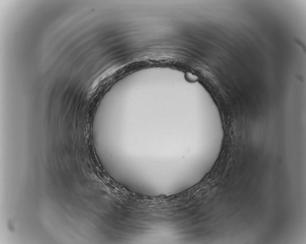 X0000100490920200806130752