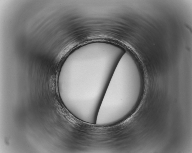 X0000100490921200806130752