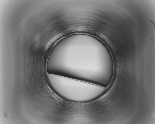X0000100490922200806130752
