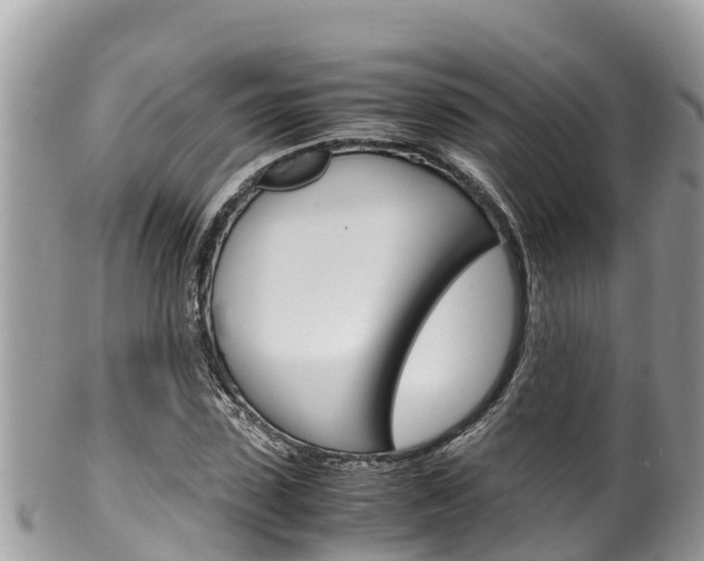 X0000100490923200806130752