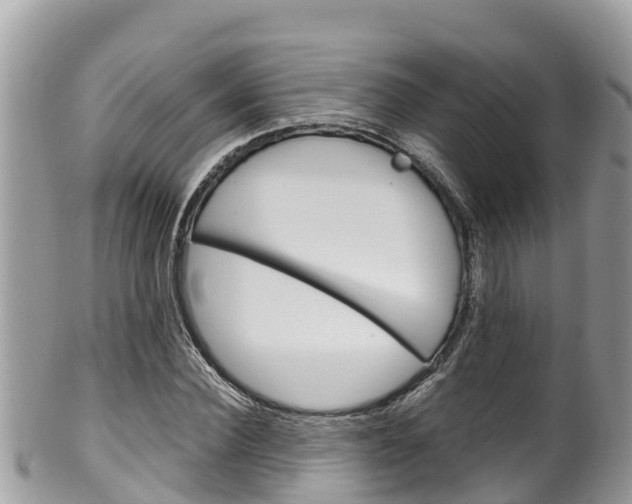 X0000100490924200806130752