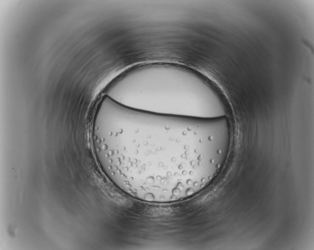 X0000100490925200806130752