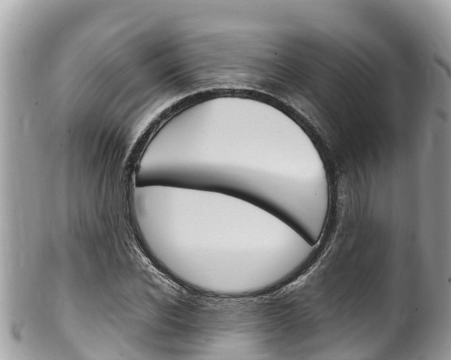 X0000100490926200806130752