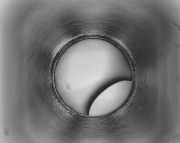 X0000100490927200806130752