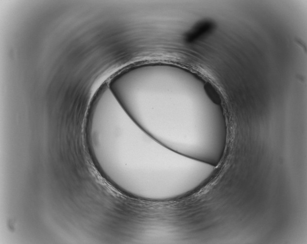 X0000100490928200806130752