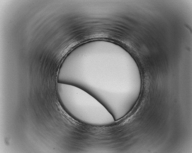 X0000100490929200806130752
