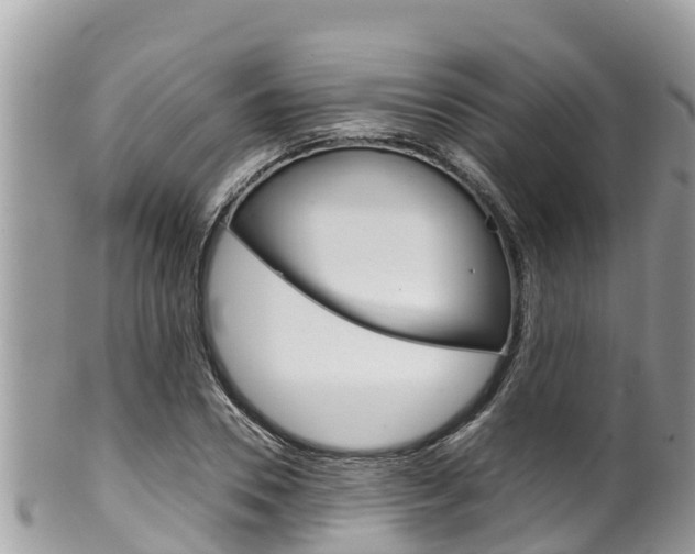 X0000100490930200806130752