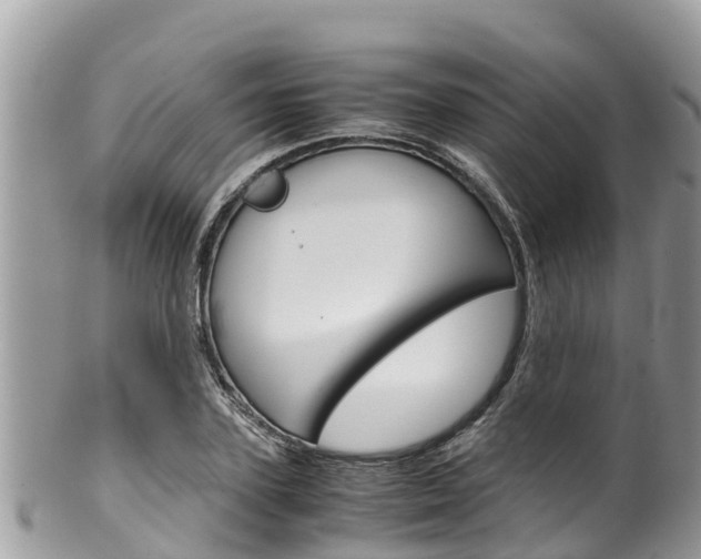 X0000100490931200806130752