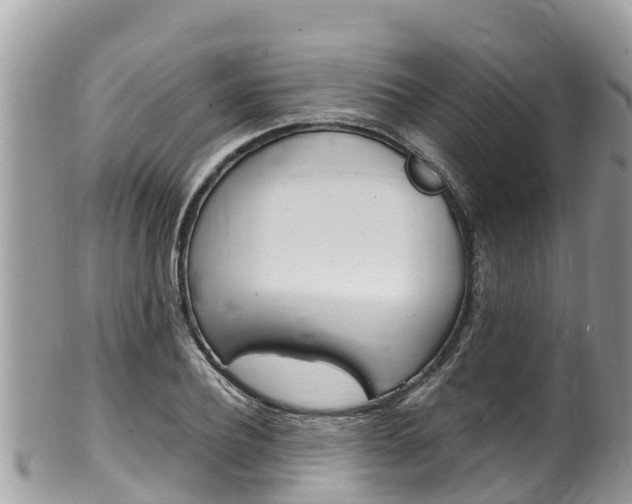 X0000100490932200806130752