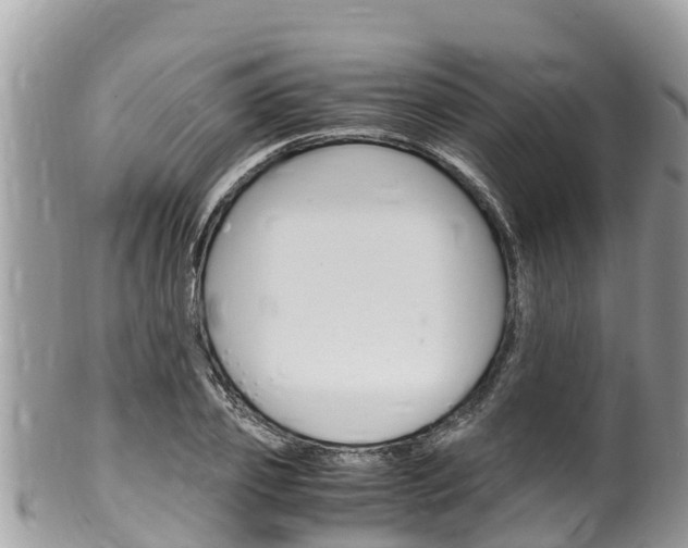 X0000100490933200806130752