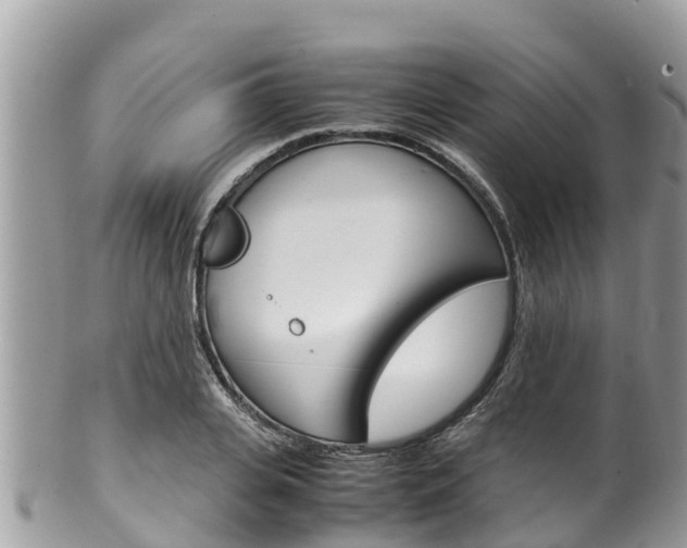 X0000100490935200806130752