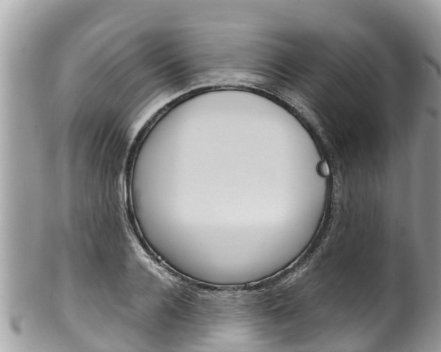 X0000100490936200806130752