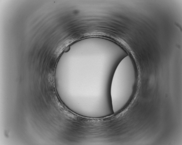 X0000100490937200806130752