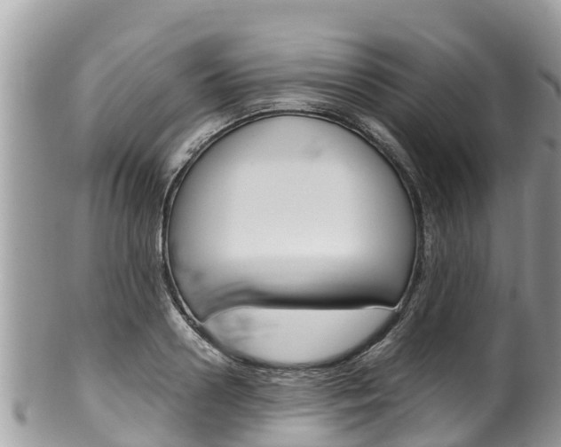 X0000100490938200806130752