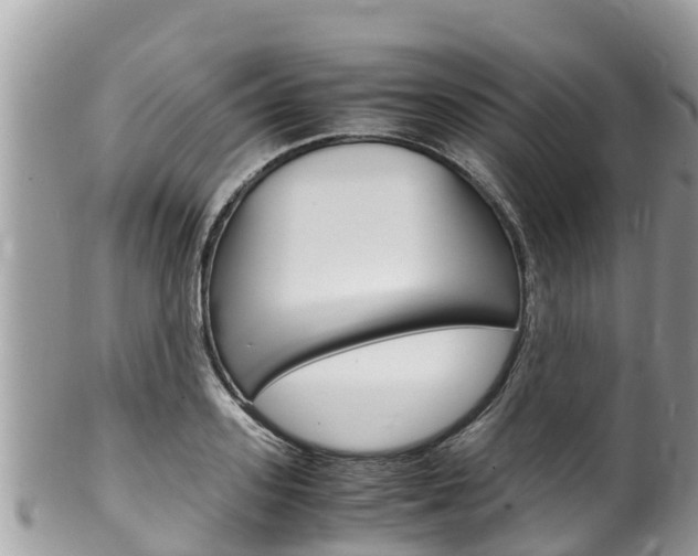 X0000100490939200806130752