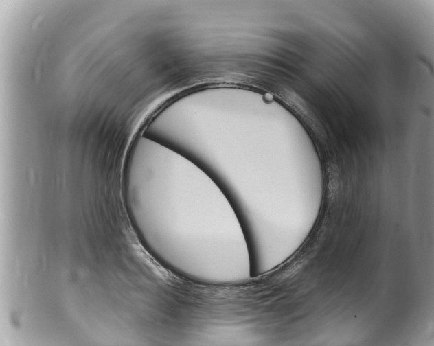 X0000100490940200806130752