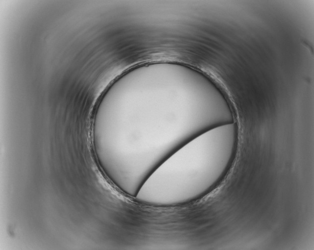 X0000100490941200806130752