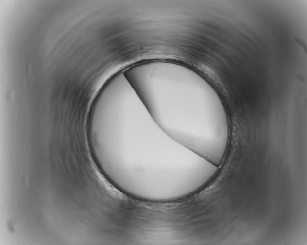 X0000100490942200806130752