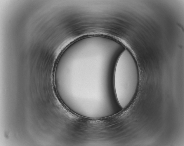 X0000100490943200806130752