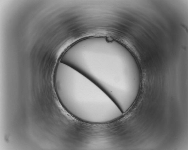X0000100490944200806130752